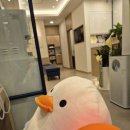 경희아이사랑한의원 이미지