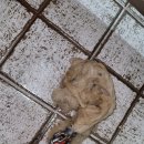 덕암동행정복지센터 이미지