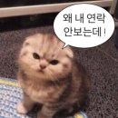 wekelijks 나 왤케 바빠?