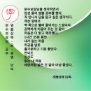 염불삼매 글 (부처님의 수행일기 25)/문수보살님 공부/문수보살님 말씀인가? /마음은 즐겁다 이미지