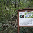 대공원역 3번 출구 이미지