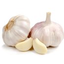 마늘(大蒜 / Garlic) 이미지