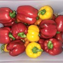 명문농장 이미지