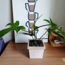 대형농장2호 이미지