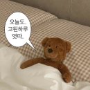 176 | [남양주 무료 키즈카페 놀자람]영아존/유아존15개월 아기랑 방문 후기⁽˙ᵕ˙⁾