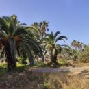 금능초등학교 이미지