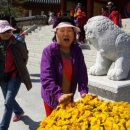 대불노인복지관 이미지