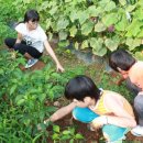 병훈농장 이미지