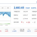 일진엠엔에스 이미지