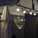 트리풀하우스 이미지