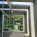 몰리힐스(MOLLI HILLS) 이미지