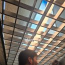 강남무도장(2) 이미지