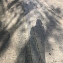 아름샘의원 | 러시아 학생비자 신청: 여권사진은 빵빵사진관 추천