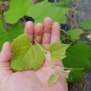 천보산농장 이미지