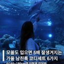 41190-01-07-126 | 모쏠도 입으면 5배 잘생겨지는 가을 남친룩 코디세트 6가지 추천해줄게요!
