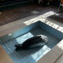 대흥목욕탕 이미지