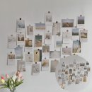 새벽노을 커머스 이미지