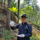 영월농장 이미지