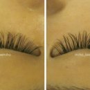 이미호아이래쉬 이미지