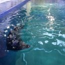 아라마루 카페 이미지