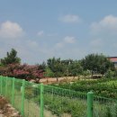 거목농장 이미지