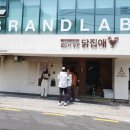 찜닭에꽂힌닭집애 이미지