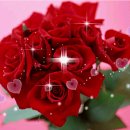 휴먼당구장 이미지