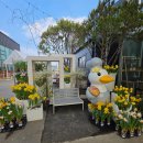 구리(일산) | 일산대형카페 물구리빵집 아이랑 방문 후기 식물원 거위 구경