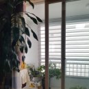 우남송추아파트 | 한화 종합 화학 샤시 롤러 교체 양주시 송추 마을 우남 아파트 거실 문 수리 후기