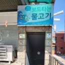 보드타는물고기 이미지