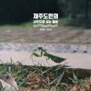 제주도민의 사진으로 보는 주간일기! 2023년 10월 9일 ~ 10월 15일