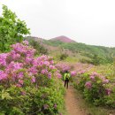 한치재주차장 이미지