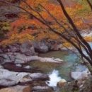 더블루스 이미지