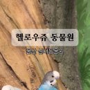 (주)헬로피그 | 울산실내동물원 헬로우쥬 아이와가볼만한곳 실내데이트추천