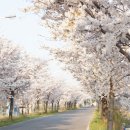 상모안경 이미지