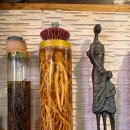 세븐일레븐 안성내리제일점 | 안성 꼼장어 맛집 안성 갯뻘 후기, 인스타 보고 첫 도전한 솔직 리뷰