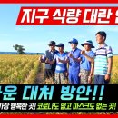 번영농장 네이버블로그