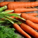 집밥&김밥 이미지