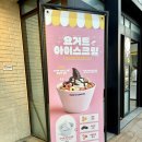 빽다방 요거트 아이스크림 내돈내산 후기 요아정보다 맛있는데!?