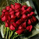 임마누엘 축사 이미지