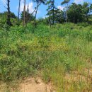 해라공인중개사사무소 이미지