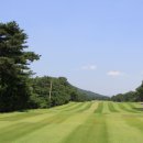 현충원로(유성-18) 이미지