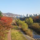 동막천 이미지