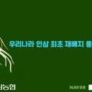 황풍정천삼