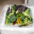 농부의꿈 이미지