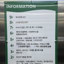 [WD4] 대전 사진관 추천, 세미웨딩촬영 &#34;사진관온김에 &amp; 로제아뜰리에 대전둔산점&#34;
