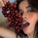 산성2(별티) 이미지