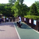 율동농장 이미지