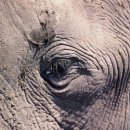 상아무역 이미지