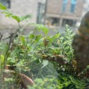 방배로42길 31-4 이미지